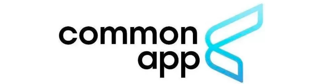 A Must-read for 2024 US Undergraduate Applications! Comprehensive Analysis of CA Main Document Topics (Part 1